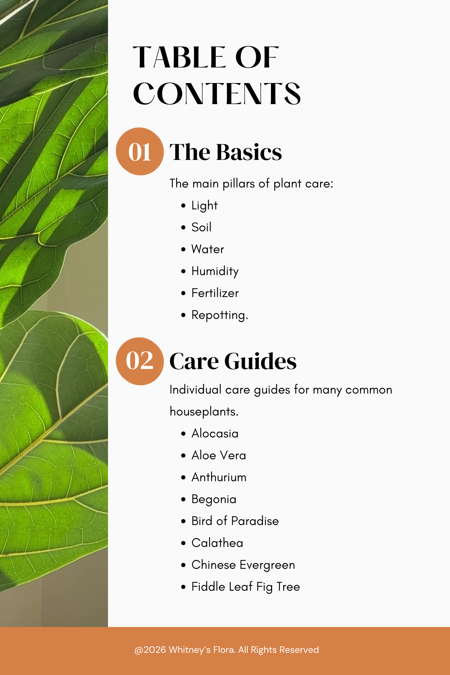 Planting to Thrive