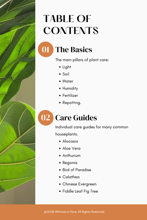 Planting to Thrive