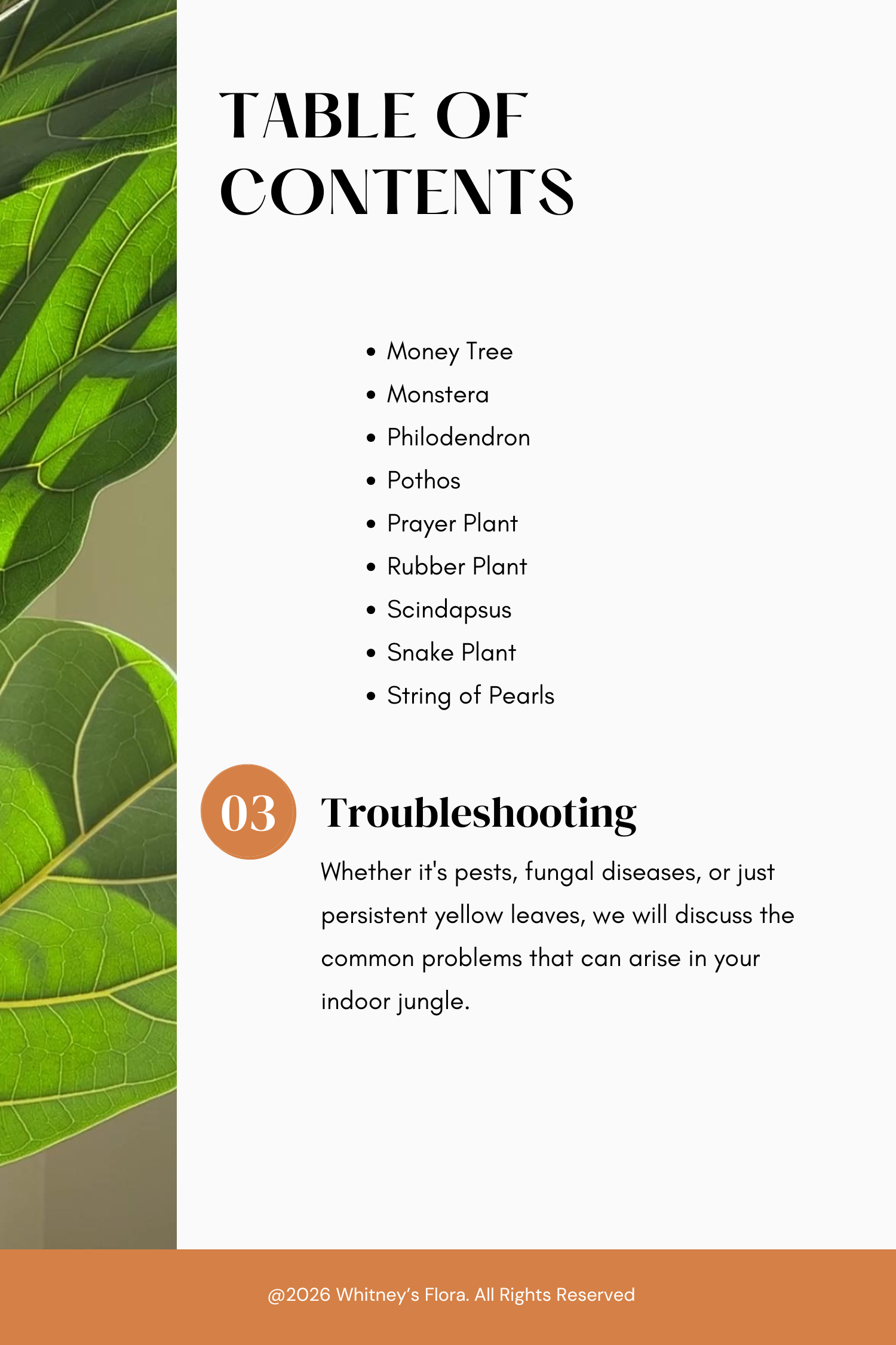 Planting to Thrive